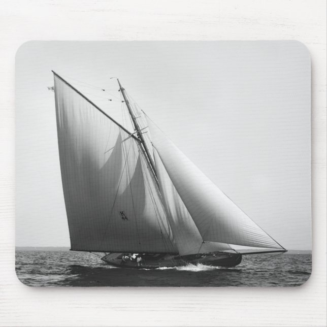 Vencedor: 1897 musmatta (Framsidan)