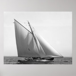 Vencedor Redux Poster