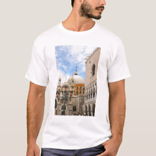 Venedig, Veneto, Italien - Fåglar sitter på en Tee Shirt