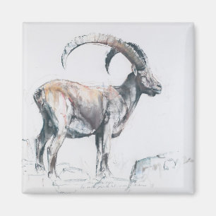 Venerando Stambecco 2006 Magnet