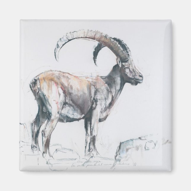 Venerando Stambecco 2006 Magnet (Framsidan)