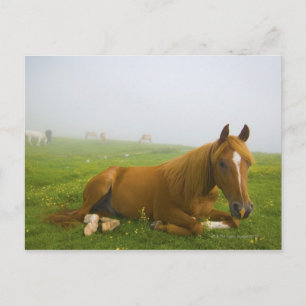 venetisk italien 2 vykort