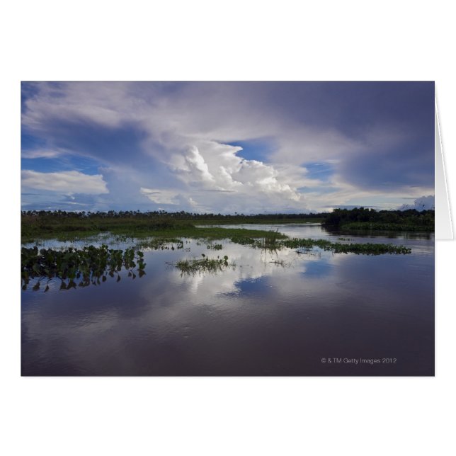 Venezuela, Delta Amacuro, Orinoco Delta Hälsningskort (Framsidan Horizontal)
