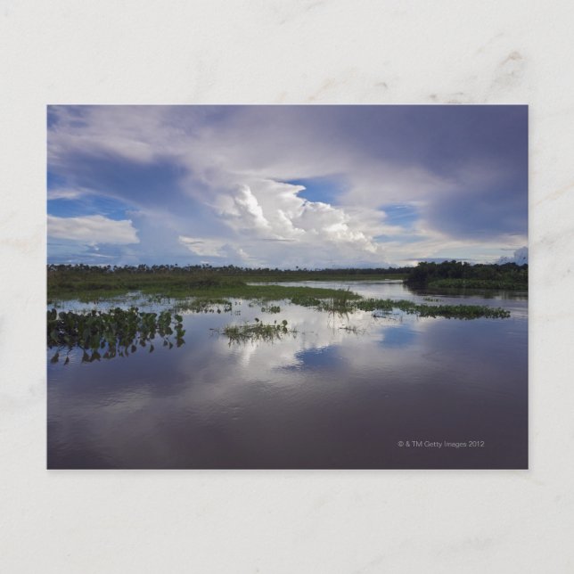 Venezuela, Delta Amacuro, Orinoco Delta Vykort (Framsida)