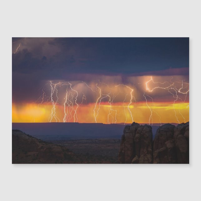Venezuela Lightnings Magnetic Card (Framsida)