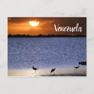 Venezuela Sunset Vykort