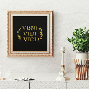Veni Vidi Vici for Gamer eller Idrottsman Poster