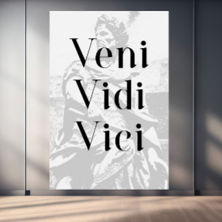 Veni, Vidi, Vici - "Jag kom, jag såg, jag erövrade Canvastryck