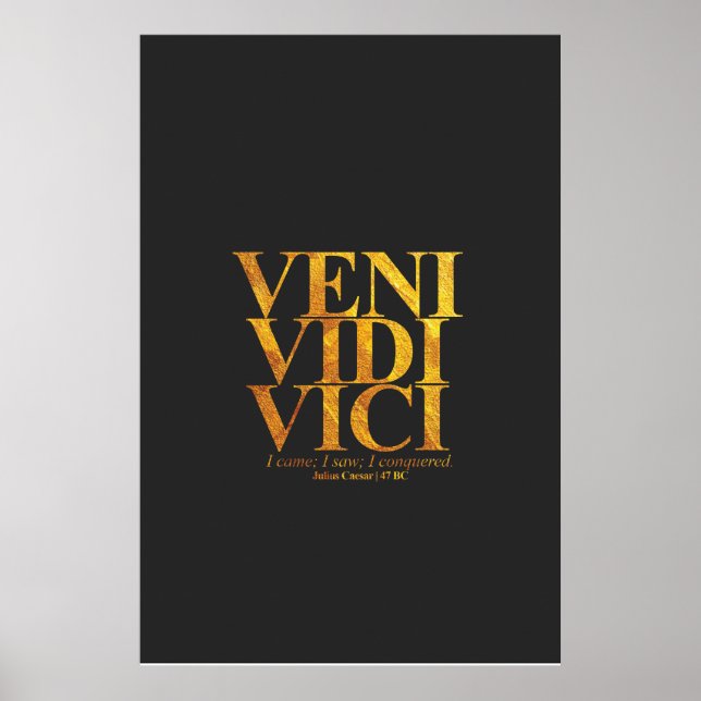 Veni Vidi Vici Julius Caesar Latin Quote. Poster (Framsidan)