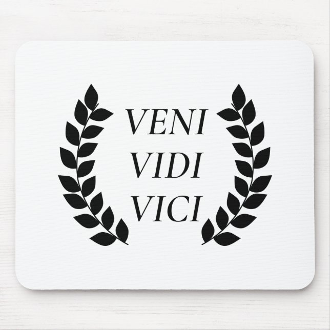 Veni Vidi Vici Musmatta (Framsidan)