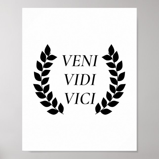 Veni Vidi Vici Poster (Framsidan)