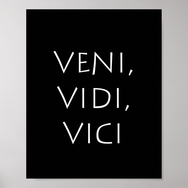 Veni vidi vici poster (Framsidan)