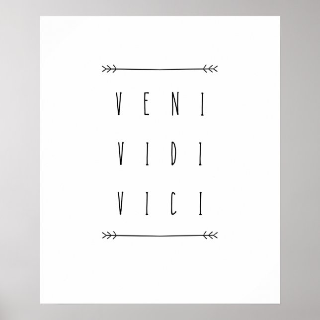 Veni Vidi Vici Poster (Framsidan)