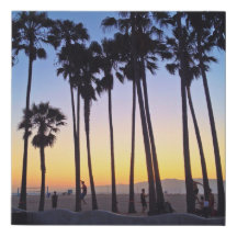 Venice Beach Sunset Handflatan Träd Slackline Voll