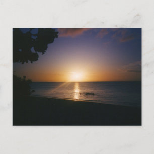Venice Beach Sunset Vykort