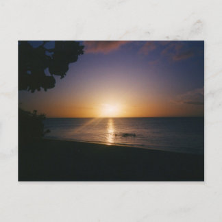 Venice Beach Sunset Vykort