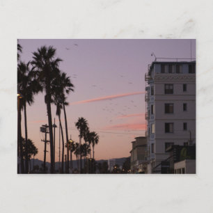 Venice Beach Vykort