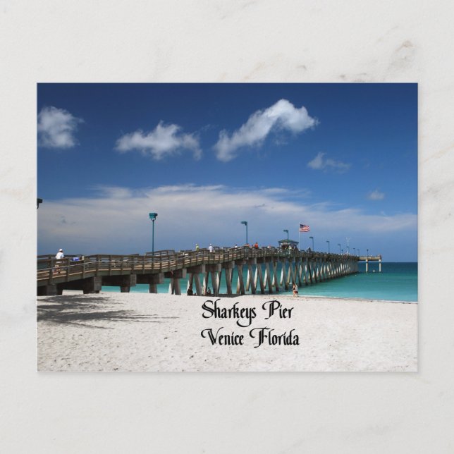 Venice Florida Vykort (Framsida)