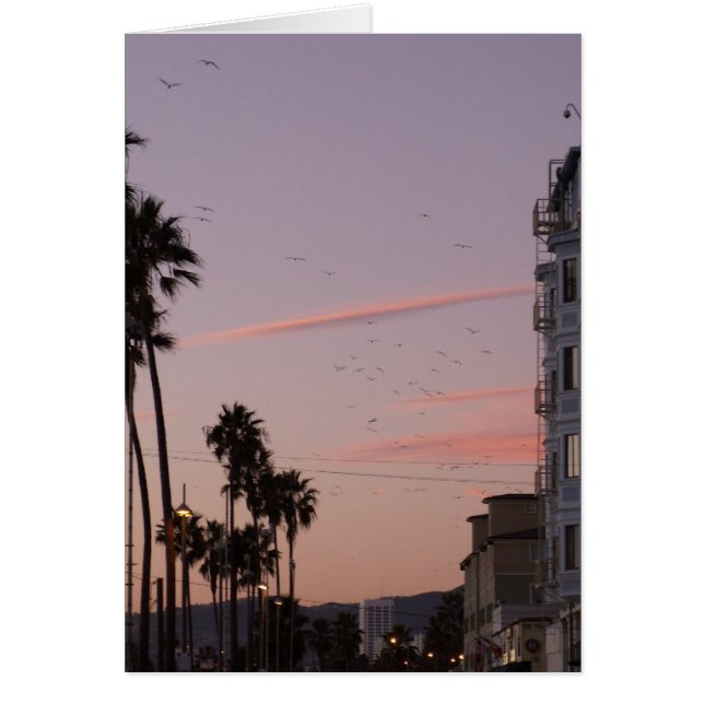 Venice strand hälsningskort (Framsidan)