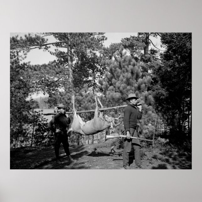 Venison på en Stick, tidigt 1900-talet Poster (Framsidan)