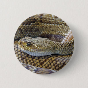 Venomer Rattle Snake Close Knapp
