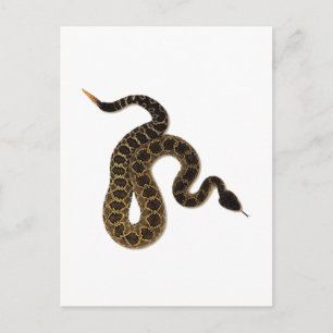 Venomösa Bitor Vykort