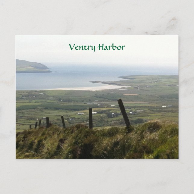 Ventry hamn, Dingle, Kerry, Irland Vykort (Framsida)