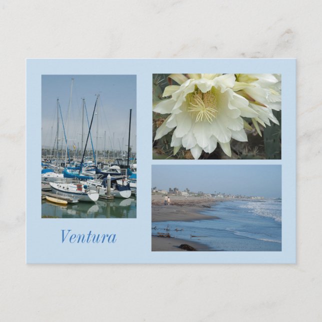 Ventura, CA 3 Photos Template Postcard Vykort (Framsida)