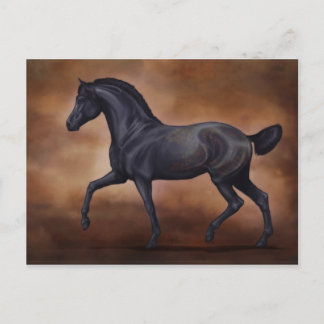 Ventus vycard vykort