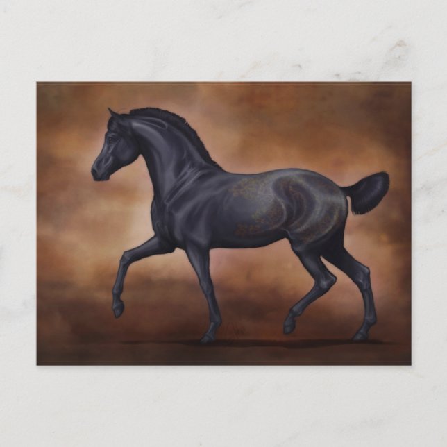 Ventus vycard vykort (Framsida)