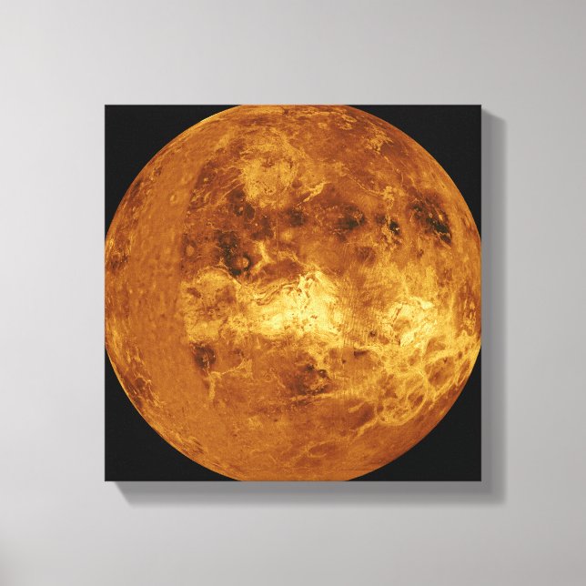 Venus Canvastryck (Framsida)