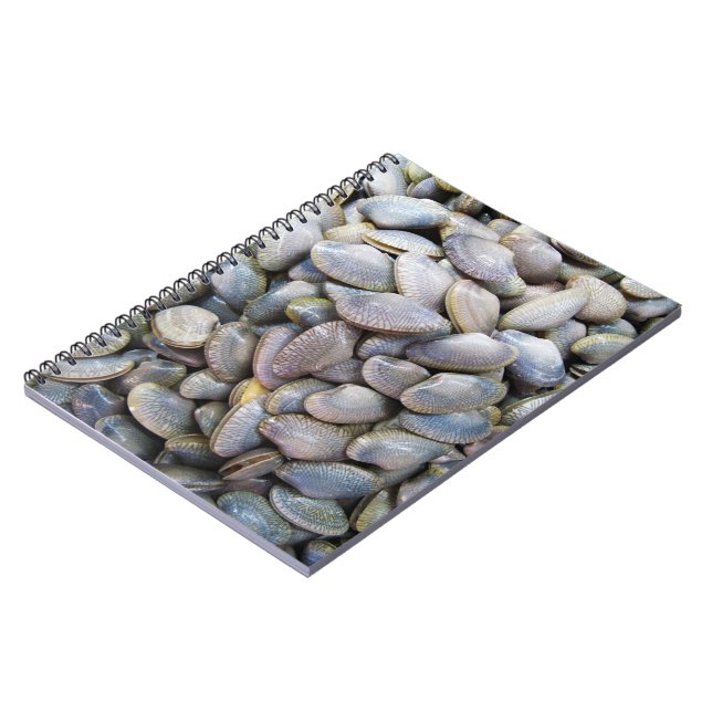 Venus Clam [ห อ ย ล า ย] Anteckningsbok (Vänstra Sidan)