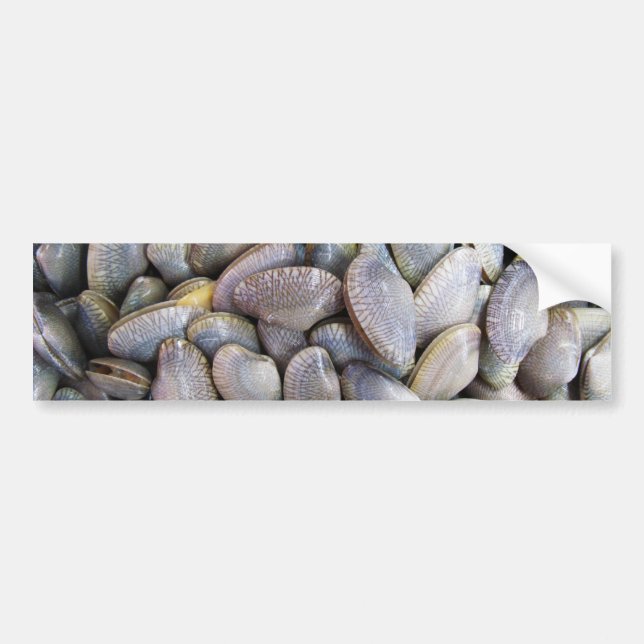 Venus Clam [ห อ ย ล า ย] Bildekal (Framsidan)