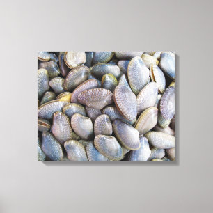 Venus Clam [ห อ ย ล า ย] Canvastryck