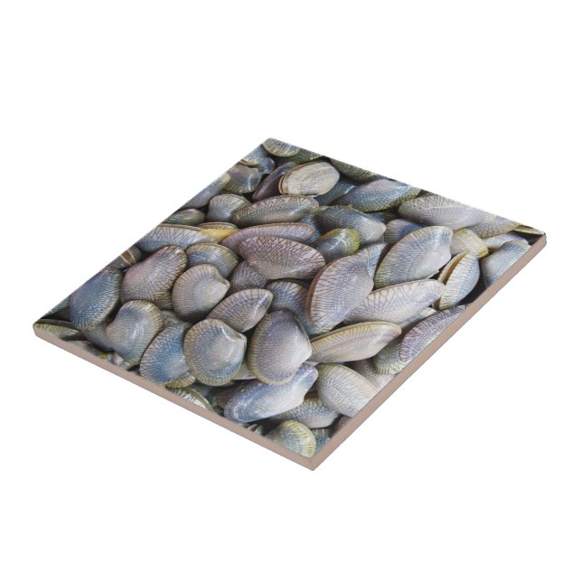 Venus Clam [ห อ ย ล า ย] Kakelplatta (Sidan)