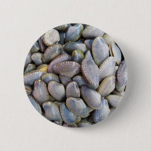 Venus Clam [ห อ ย ล า ย] Knapp