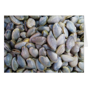 Venus Clam [ห อ ย ล า ย] kort