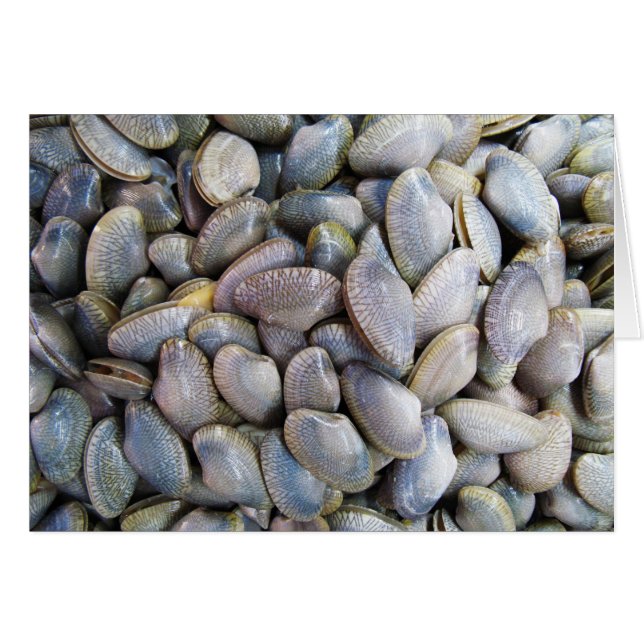 Venus Clam [ห อ ย ล า ย] kort (Framsidan Horizontal)