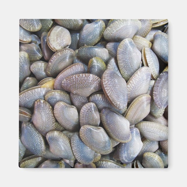 Venus Clam [ห อ ย ล า ย] Magnet (Framsidan)