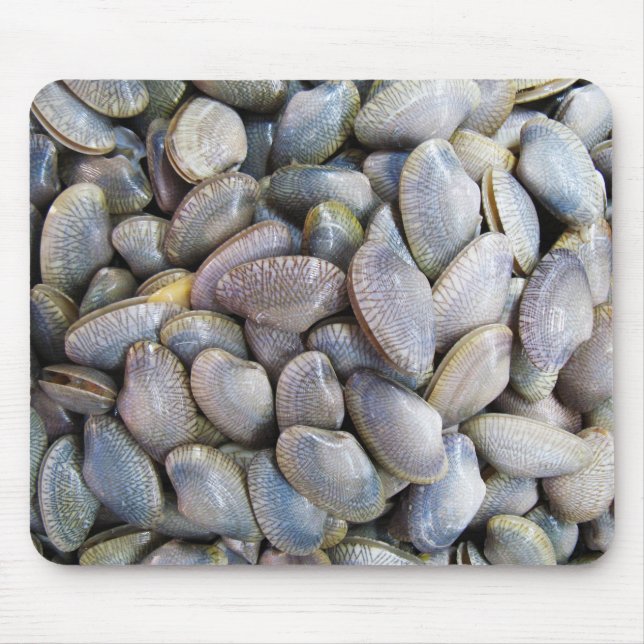 Venus Clam [ห อ ย ล า ย] Musmatta (Framsidan)