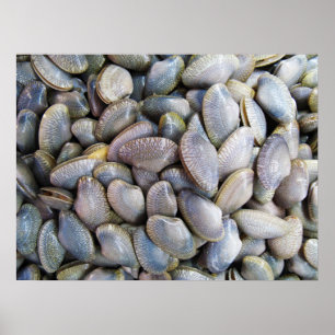 Venus Clam [ห อ ย ล า ย] Poster