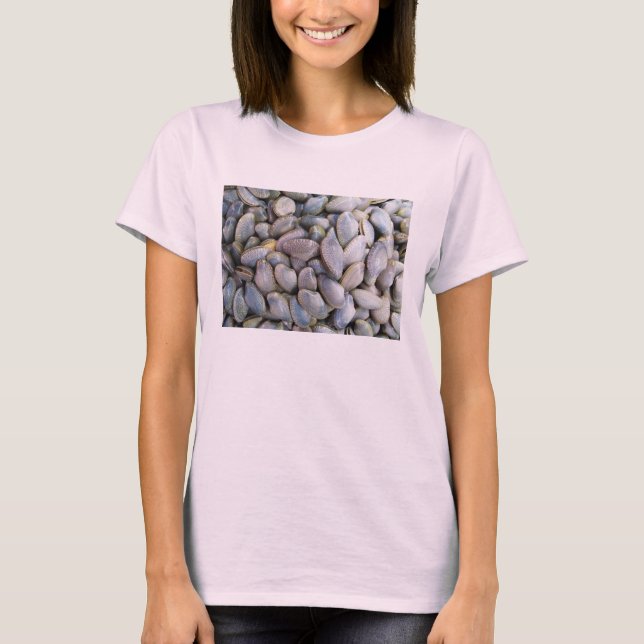 Venus Clam [ห อ ย ล า ย] T Shirt (Framsida)