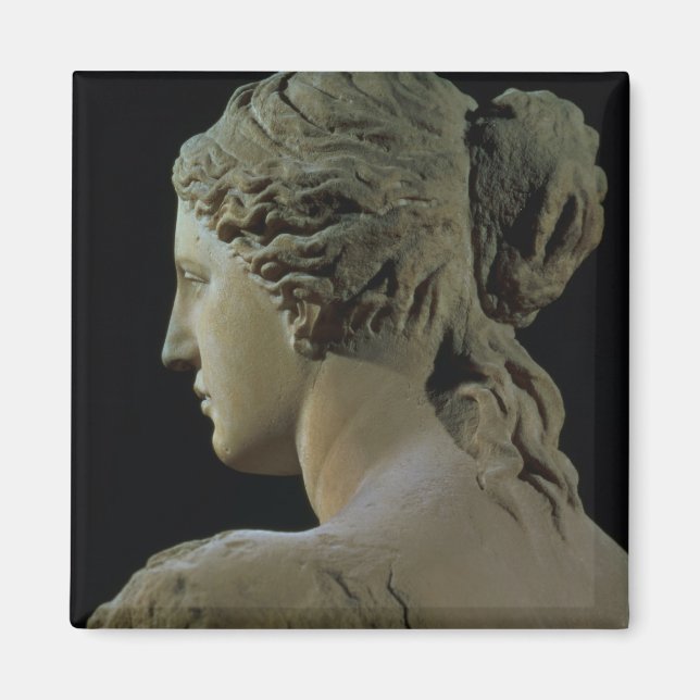 Venus de Milo, detaljer om huvudet, Hel Magnet (Framsidan)