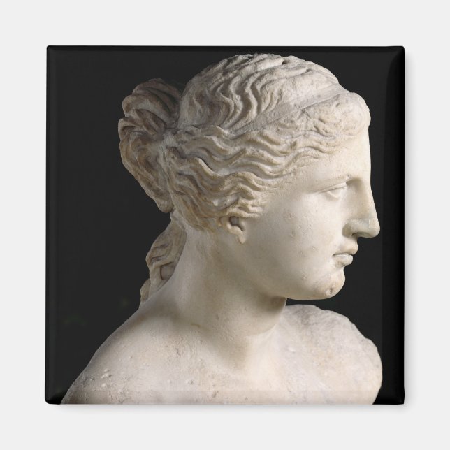 Venus de Milo Magnet (Framsidan)