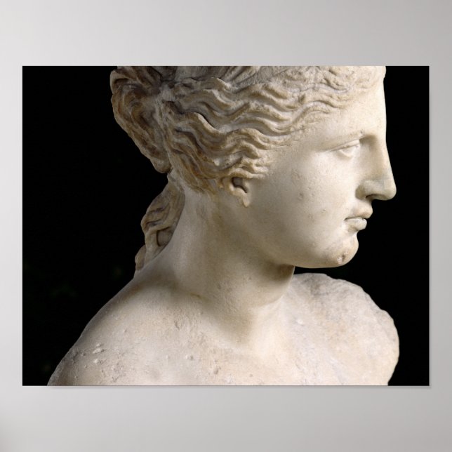 Venus de Milo Poster (Framsidan)