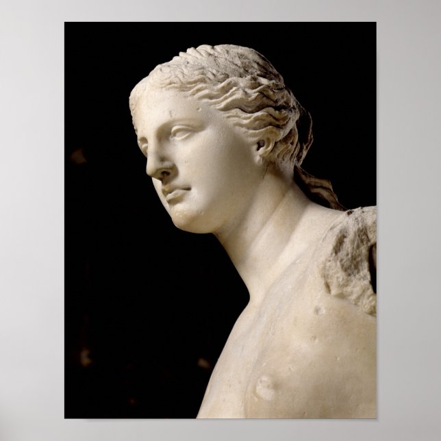 Venus de Milo Poster (Framsidan)