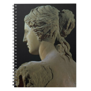 Venus de Milo specificerar av nacken, Hel Anteckningsbok Med Spiral