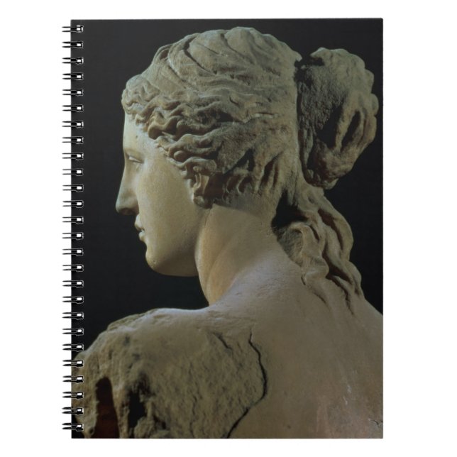Venus de Milo specificerar av nacken, Hel Anteckningsbok Med Spiral (Framsidan)