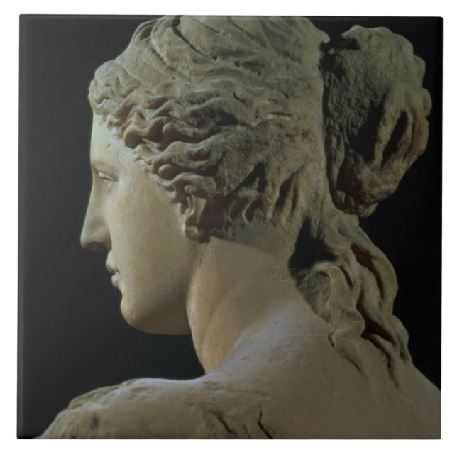 Venus de Milo specificerar av nacken, Hel Kakelplatta (Framsidan)