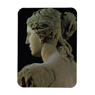 Venus de Milo specificerar av nacken, Hel Magnet